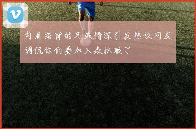 勾肩搭背的兄弟情深引发热议网友调侃你们要加入森林狼了
