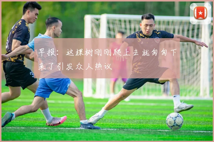 早报：这棵树刚刚爬上去就匆匆下来了引发众人热议