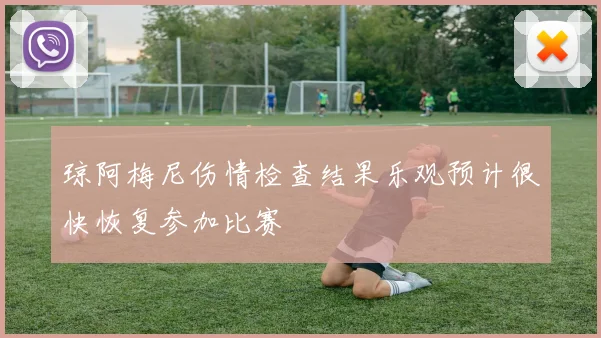 琼阿梅尼伤情检查结果乐观预计很快恢复参加比赛