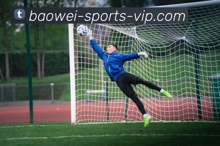 宝威体育APP 封面图